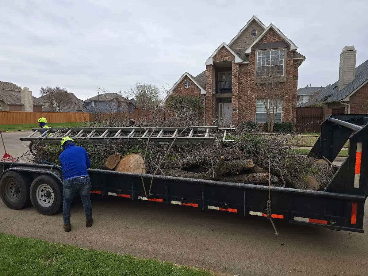 Expert Tree Fertilization with proper safety equipment in Great Bend